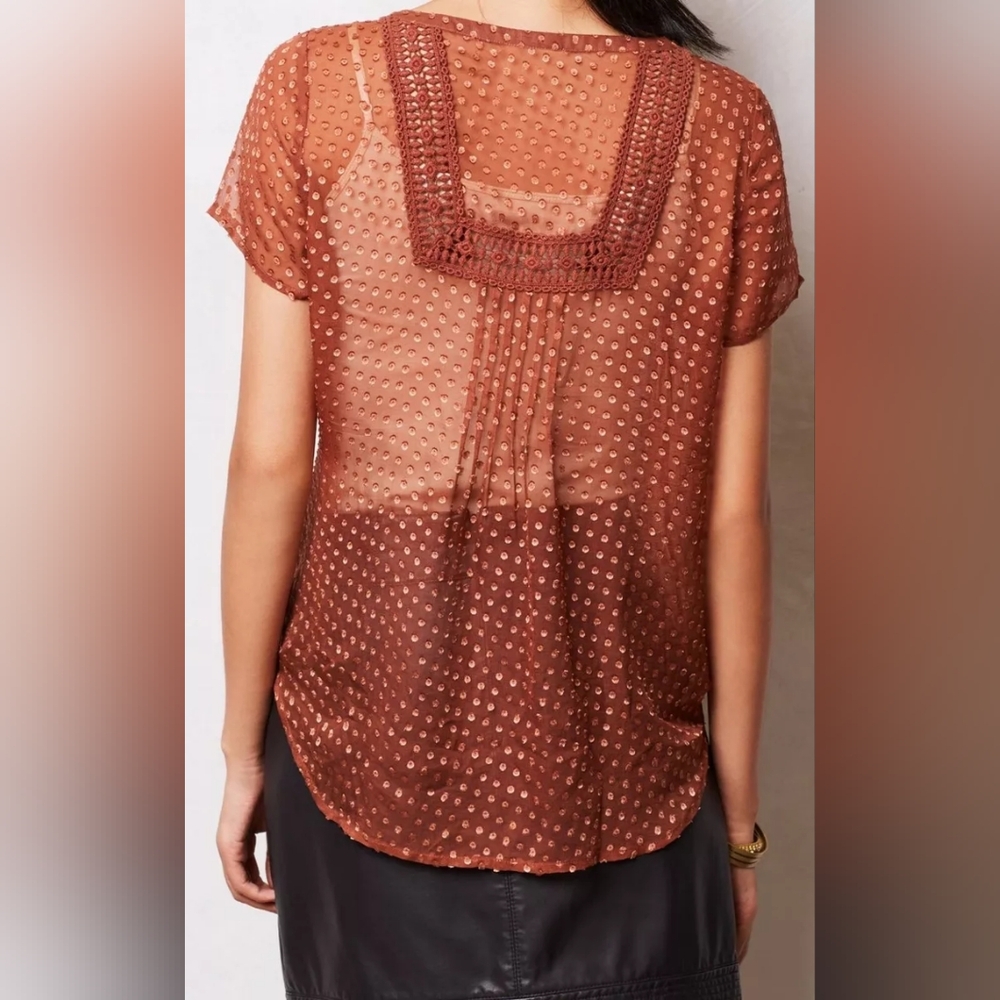 Meadow Rue Anthropologie Grassland Brown Sheer Top Medium - Picture 2 of 6